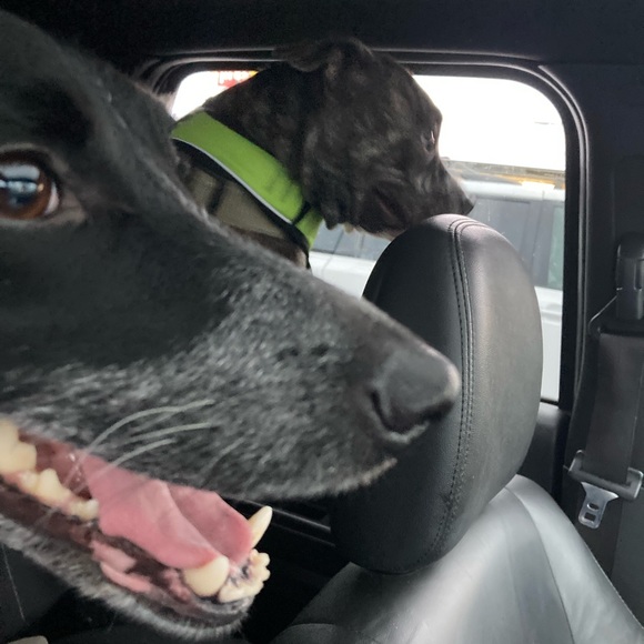 Meet your Posher, Mf side hustle - Picture 2 of 5